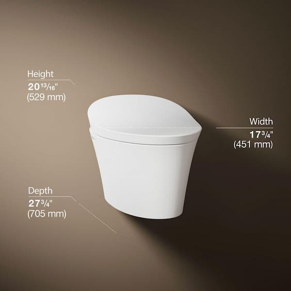Veil Wall Hung 1-Piece 0.8 GPF Dual Flush Elongated Toilet in White Seat Included