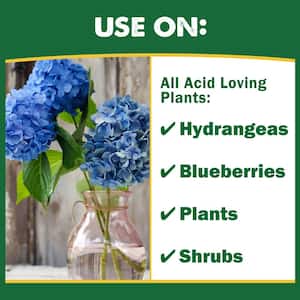 6 lb. Organic Hydrangea and Blueberry Soil Acidifier with Sulfur and Gypsum