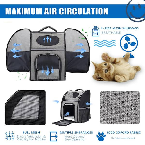 Large window shop pet carrier backpack