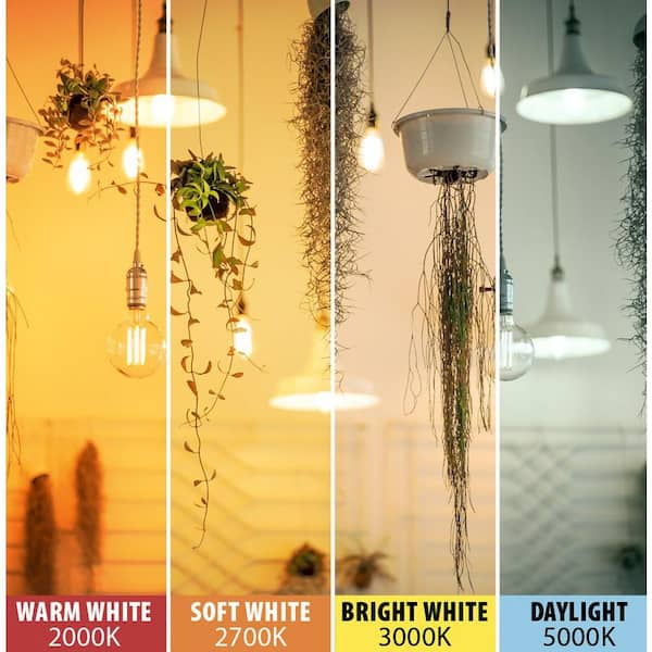 edison light bulb bright white