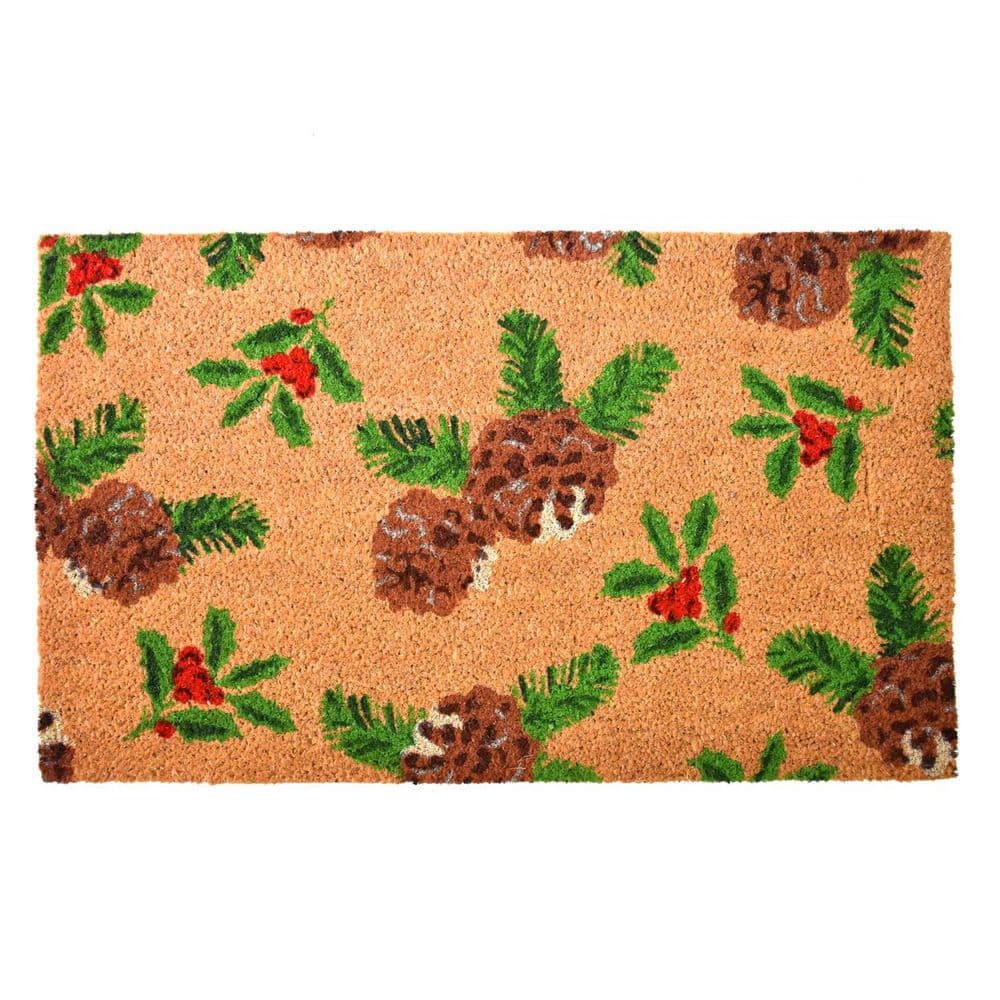 Multi-Colored 29 in. x 17 in. Coir Outdoor Door Mat price history on PriceWatchPro