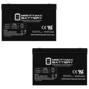 ML100-12 - 12 Volt 100 AH, Internal Thread (INT) Terminal, Rechargeable SLA AGM Battery - Pack of 2