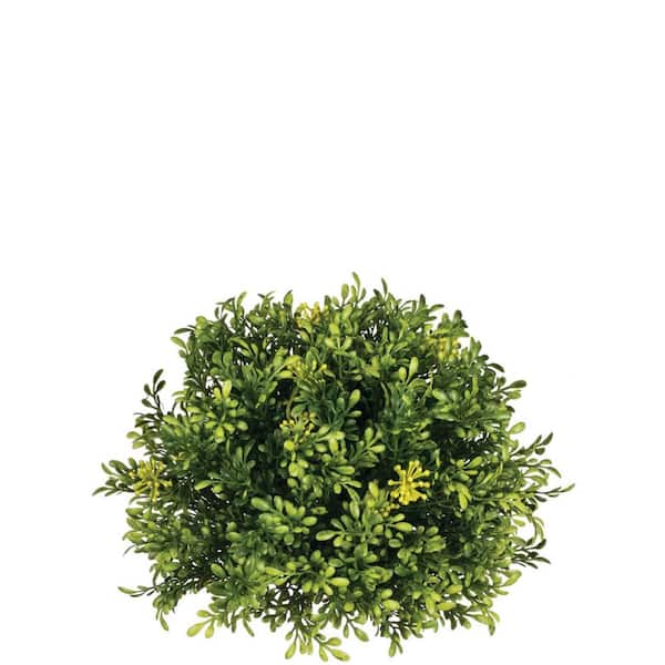 SULLIVANS 5" Artificial Green Tea Leaf & Berry Half Orb