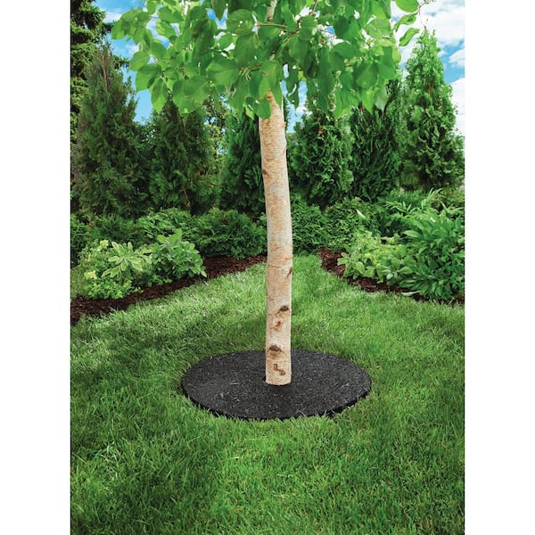 Vigoro 24 in. Black Recycled Rubber Tree Ring (3-Pack) DCTR24BK3