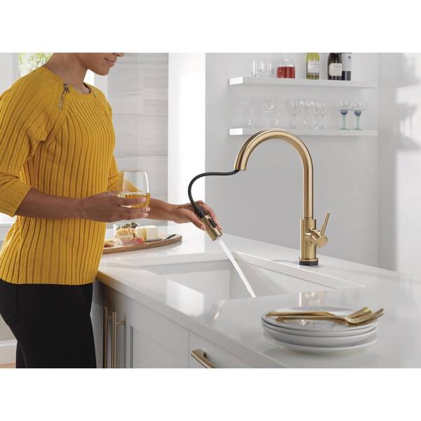 Delta Trinsic Gold VoiceIQ Touch2O w/ Touchless Technology Single