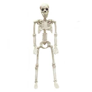 36 in. Creepy Halloween Plastic Realistic Full Body Movable Posable Joints Skeleton for Outdoor and Indoor Decor