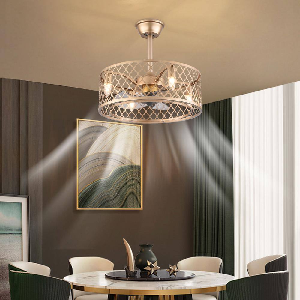 20-Inch Gold Metal Caged Ceiling Fan with Remote and Lighting