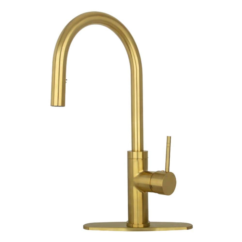 Single-Handle Pull Down Sprayer Kitchen Faucet with Deckplate in Brushed Go