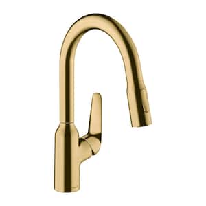 Focus N Single-Handle Pull Down Sprayer Kitchen Faucet with QuickClean in Brushed Gold Optic