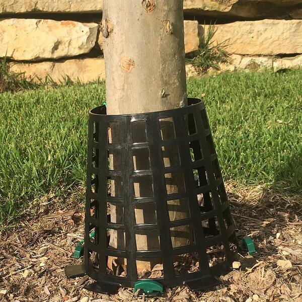 Plant Knight Black Tree Trunk Guard Protector For Garden Protection 12 Pack 2 X Pl Bl 6pk The Home Depot