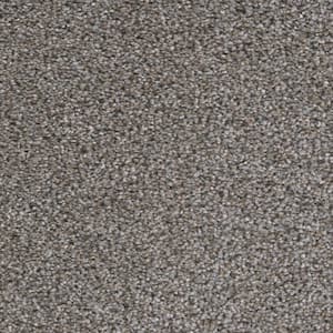 Fall Skies I  - Bonfire - Gray 48 oz. SD Polyester Texture Installed Carpet