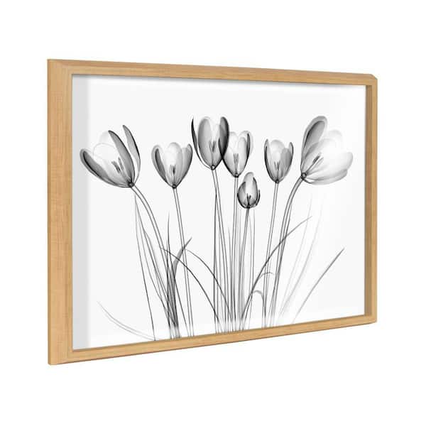 Sylvie Crocus X Ray Floral BW by The Creative Bunch Studio Natural Framed Art Print 24 in. x 18 in.