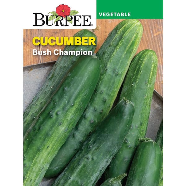 Cucumber Pickling Picklebush Seed
