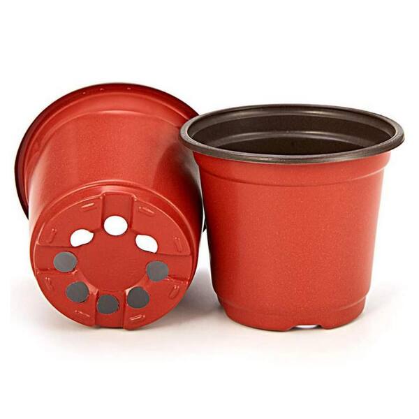 plants good for air Breath-Of-Fresh-Air Box – Hey Rooted main image 0