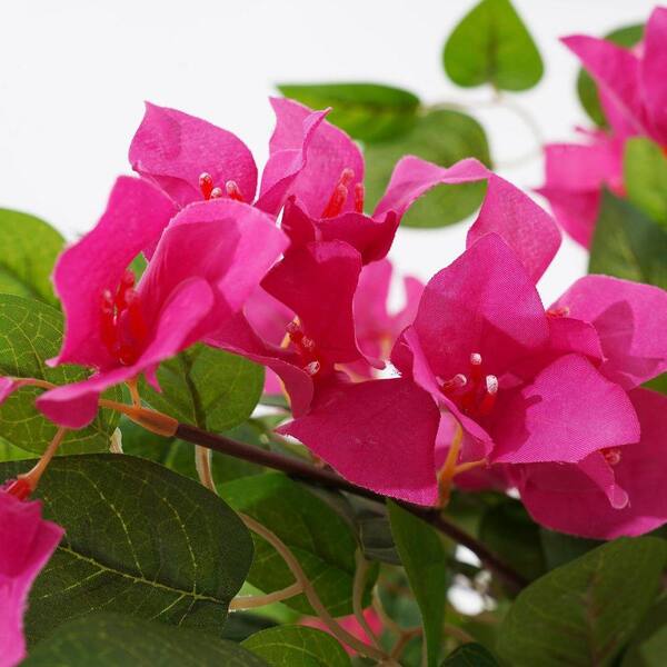 2-Pack 2 ft. Artificial Bougainvillea Trees with Flowers in White