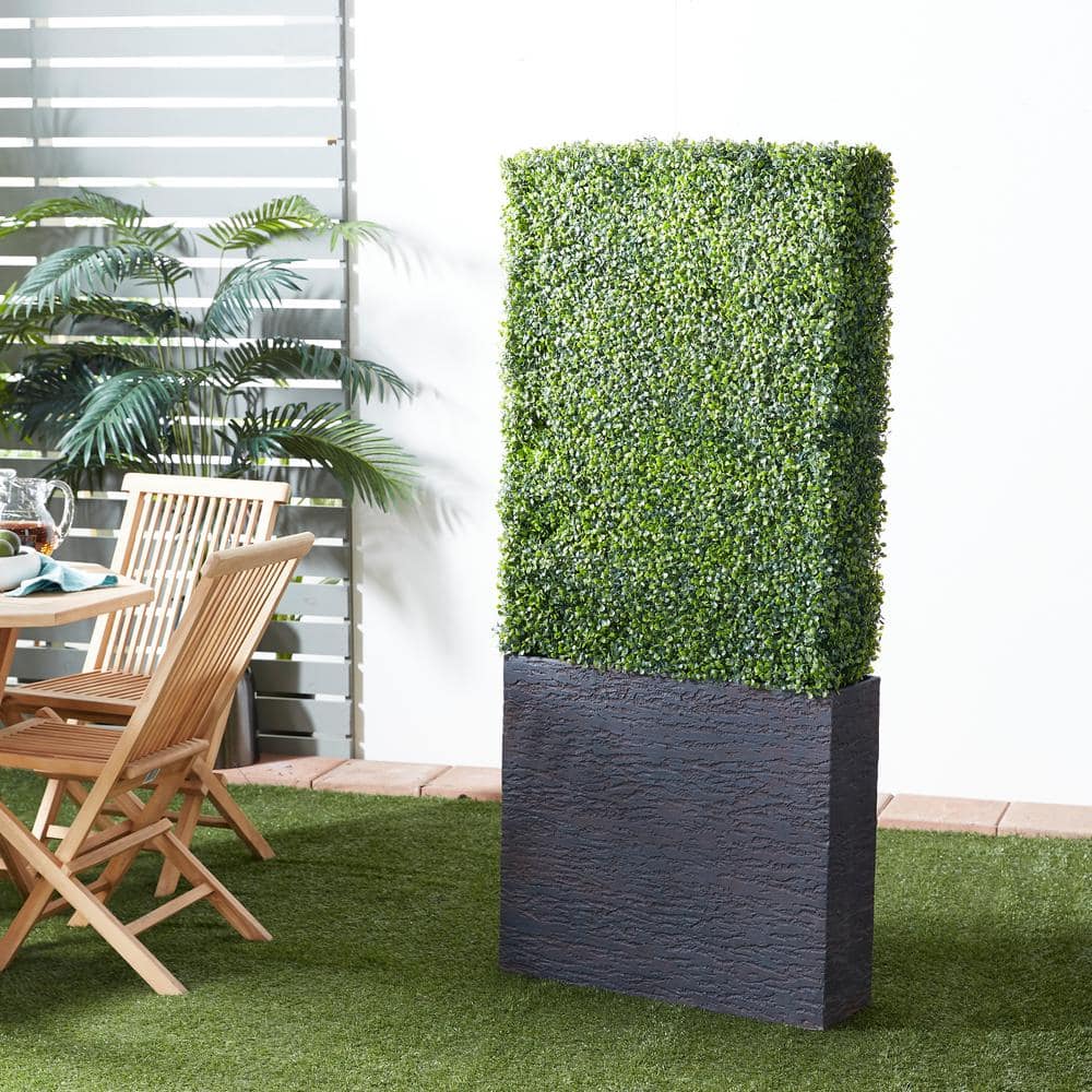Evergreen Elegance Plastic Boxwood Topiary in Black Cement Planter, 66" Tall