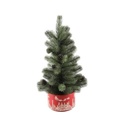 Norfolk Pine Christmas Plants Indoor Christmas Decorations The Home Depot