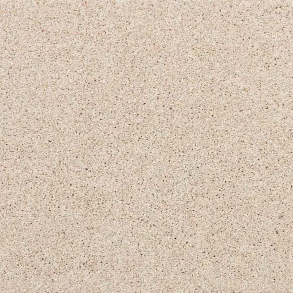 8 in. x 8 in. Texture Carpet Sample-Magalynn II-Color First Light