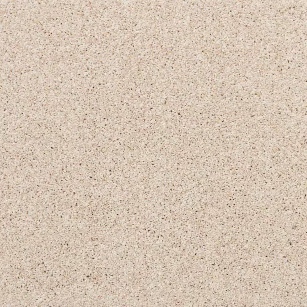 8 in. x 8 in. Texture Carpet Sample-Magalynn I-Color First Light price history on PriceWatchPro