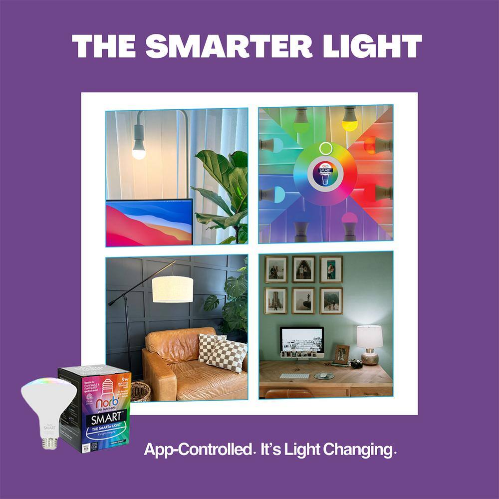 NorbSMART 9W Multicolor Dimmable LED Smart Light Bulb