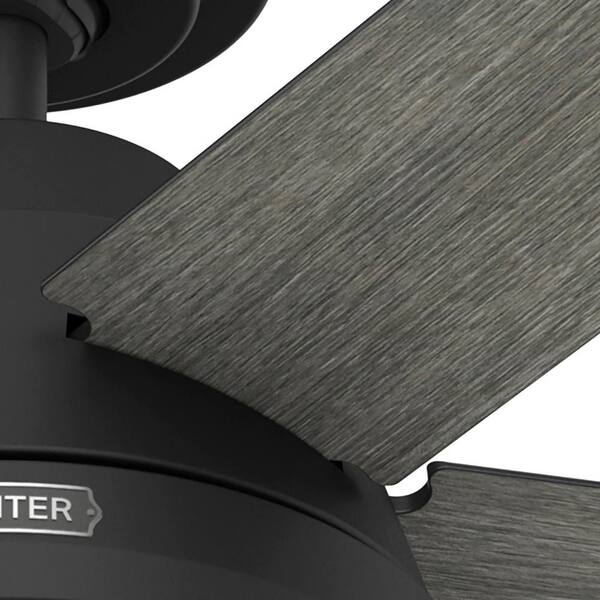 Hunter Locke 52 in. Indoor Matte Black Ceiling Fan with