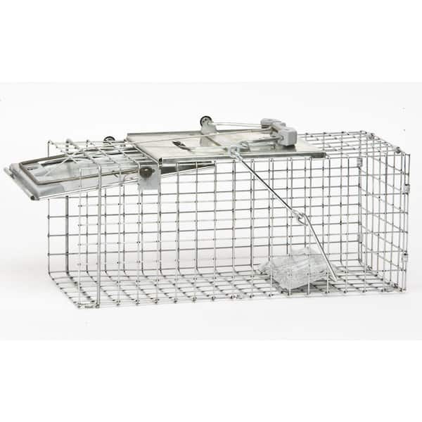 Havahart X-Small 2-Door Professional Live Animal Cage Trap for Mice, Rat  and Vole 1020 - The Home Depot