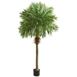 Indoor 80 Robellini Palm Artificial Tree