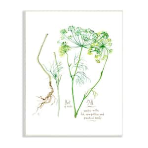 Dill Greens Herbs Watercolor Garden Plant by Verbrugge Watercolor Unframed Print Nature Wall Art 13 in. x 19 in.