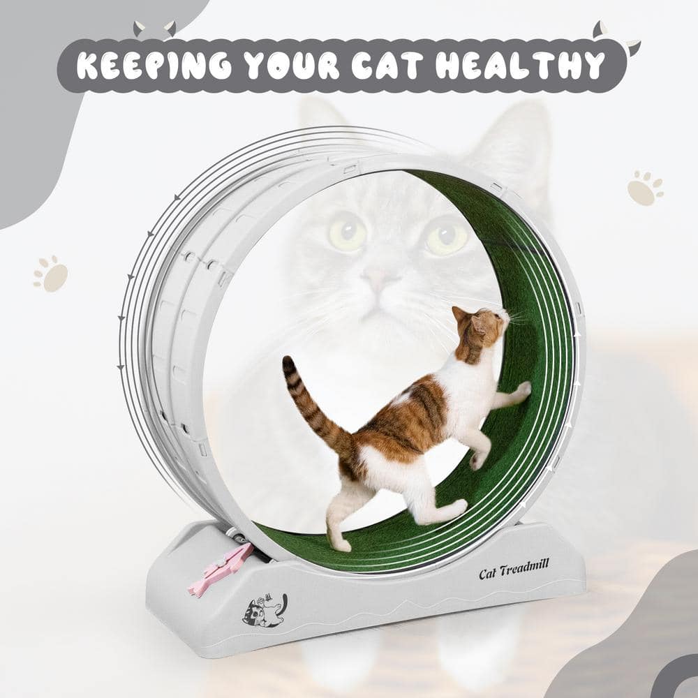 Gray and Green Freestanding Plastic Cat Exercise Wheel