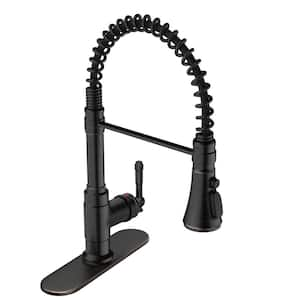 Single Handle Pull Down Sprayer Kitchen Faucet with Deck Plate and Swivel Spoutin in Oil Rubbed Bronze