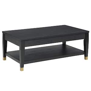 Yves 48 in. Charcoal 19.5 in. H Rectangle Wood Coffee Table with Lift Top
