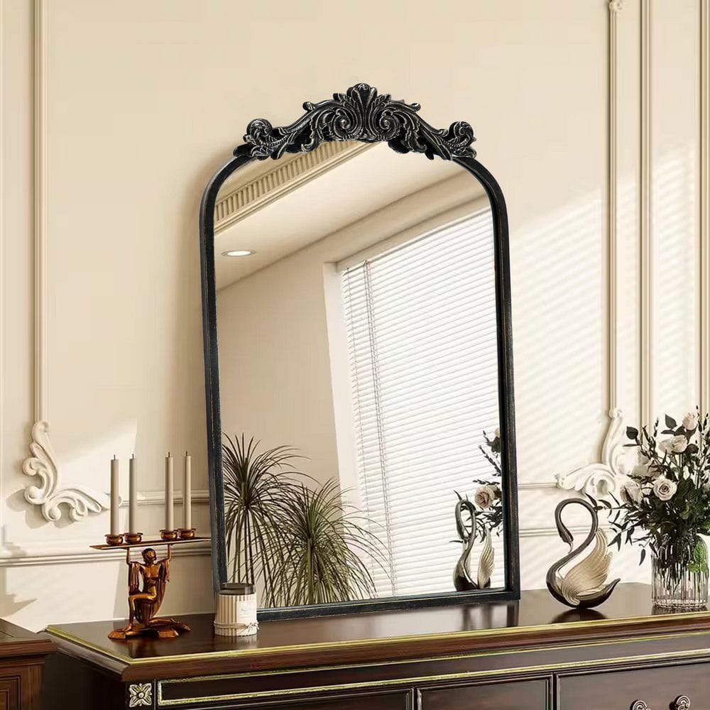 Sxiawe 18.9 in. W x 31.1 in. H Ornate Baroque Classic