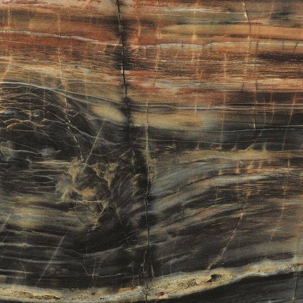 FORMICA 5 ft. x 12 ft. Laminate Sheet in 180fx Petrified Wood with Etchings Finish