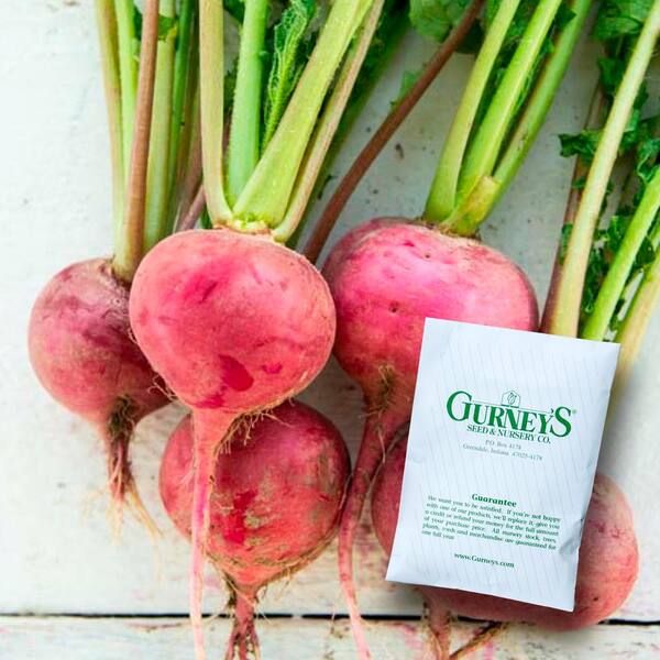 Gurney's Radish Champion (500 Seed Packet)