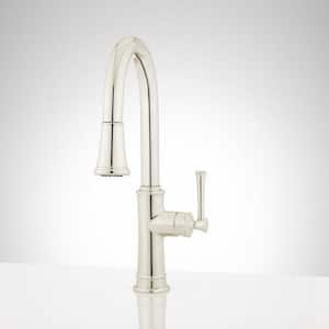Beasley Single Handle Pull Out Sprayer Kitchen Faucet in Polished Nickel