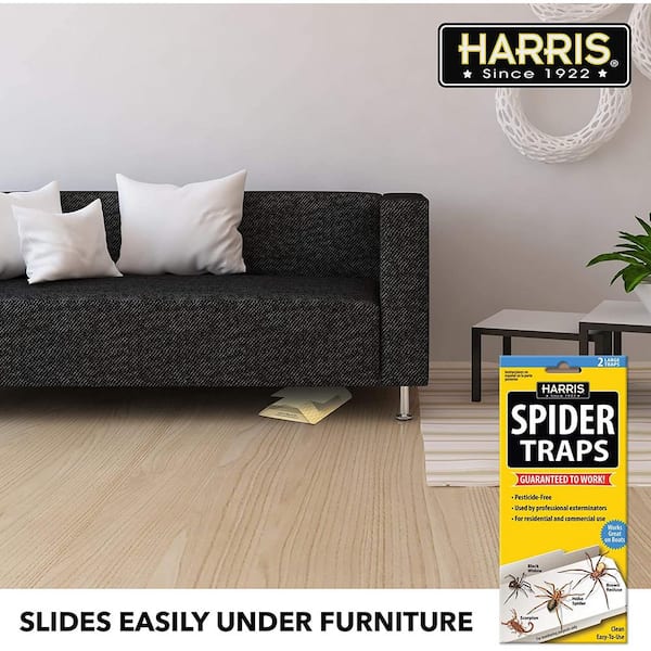 Harris Spider Traps, Irresistible Lure, Large - 2 traps