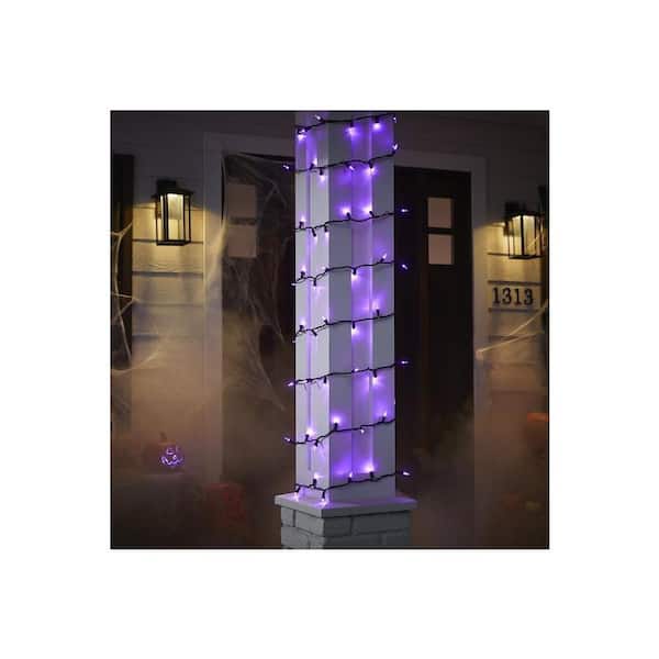 100 Purple Mini LED Lights