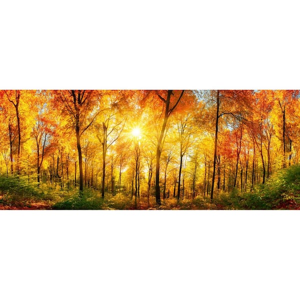 Dimex Scenic Sunny Forest Cityscapes Wall Mural MP-2-0067 - The Home Depot