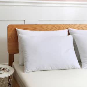 Cotton Duck Down King Pillow (Set of 2)