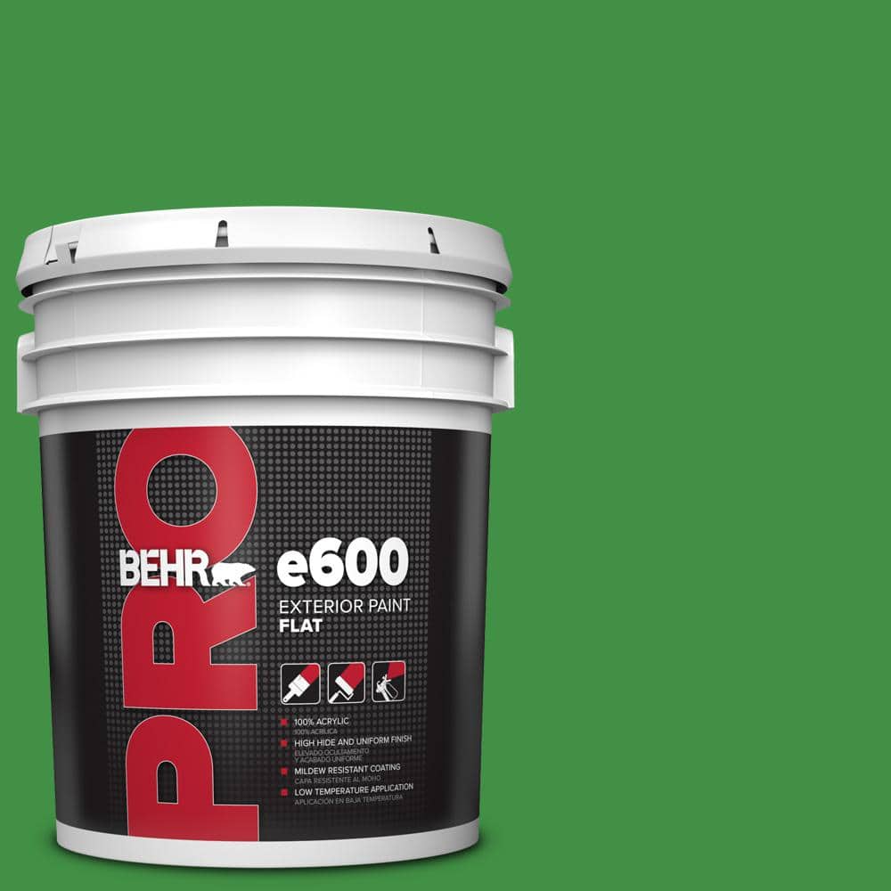 5 gal. #P390-7 Park Picnic Flat Exterior Paint price history on PriceWatchPro