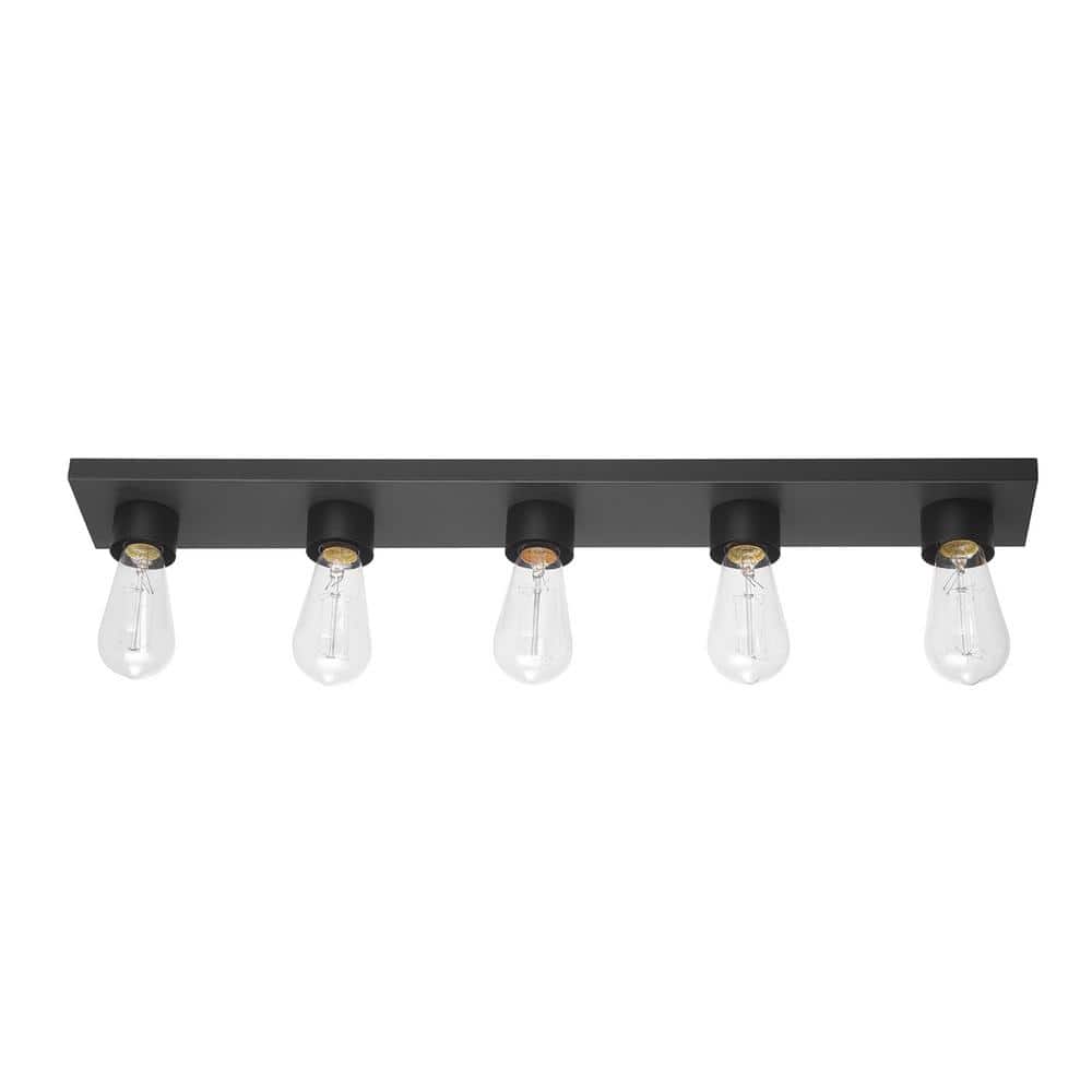 Alden 27.97 in. 5-Light Matte Black Vanity Light