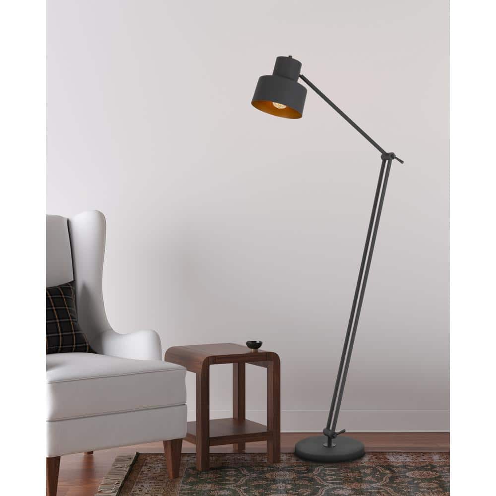 Davidson Adjustable Matte Black Metal Floor Lamp with Circular Shade