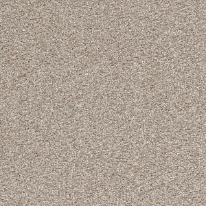 Perfected II  - Masterly - Gray 60 oz. SD Polyester Texture Installed Carpet