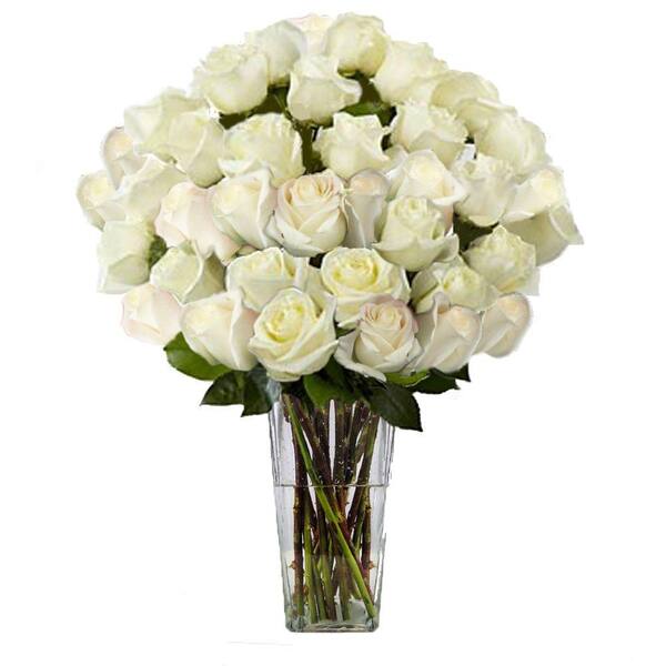 The Ultimate Bouquet Gorgeous White Rose Bouquet in Clear Vase (36 Stem) Overnight Shipping Included
