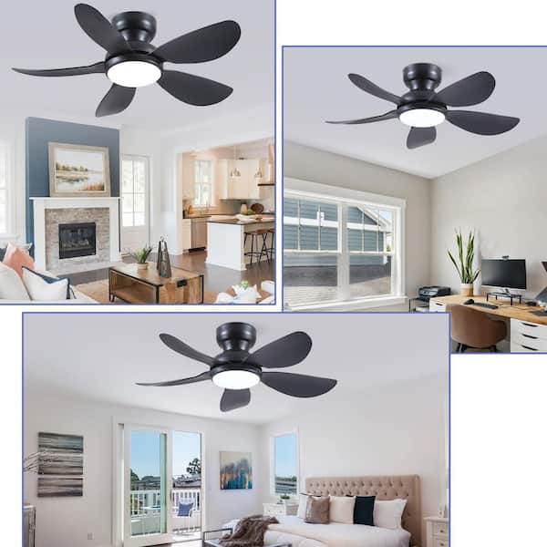 36 in. Indoor/Outdoor Flush Mount Black Ceiling Fan with Dimmable 3-Color LED Light and Remote/APP Control