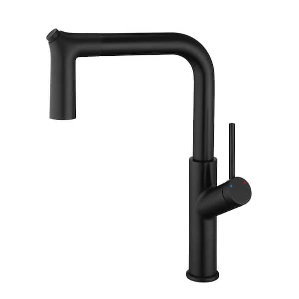 Single Handle Kitchen Sink Faucet With Pull Out Sprayer Matte Black Colors Mixer 