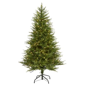 5 ft. Pre-lit Wisconsin Fir Artificial Christmas Tree with 250 Warm White LED Lights