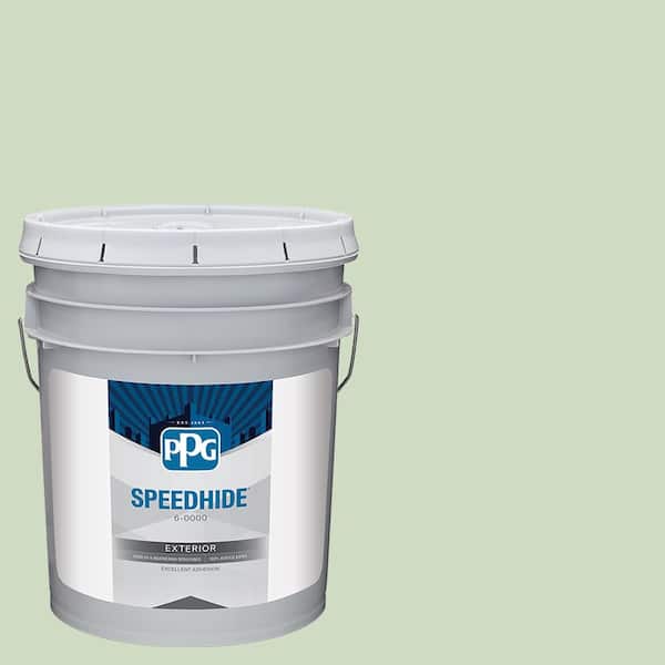 5 gal. Pale Moss Green PPG1121-3 Semi-Gloss Exterior Paint