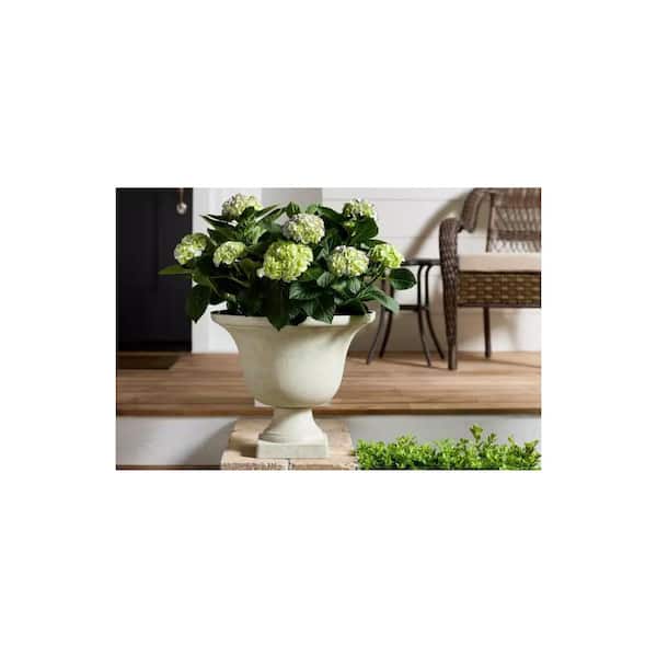 Vigoro 17.8 in. Elise Large White Textured Resin Urn Planter Vigoro 17.8 in. Elise Large White Textured Resin Urn Planter