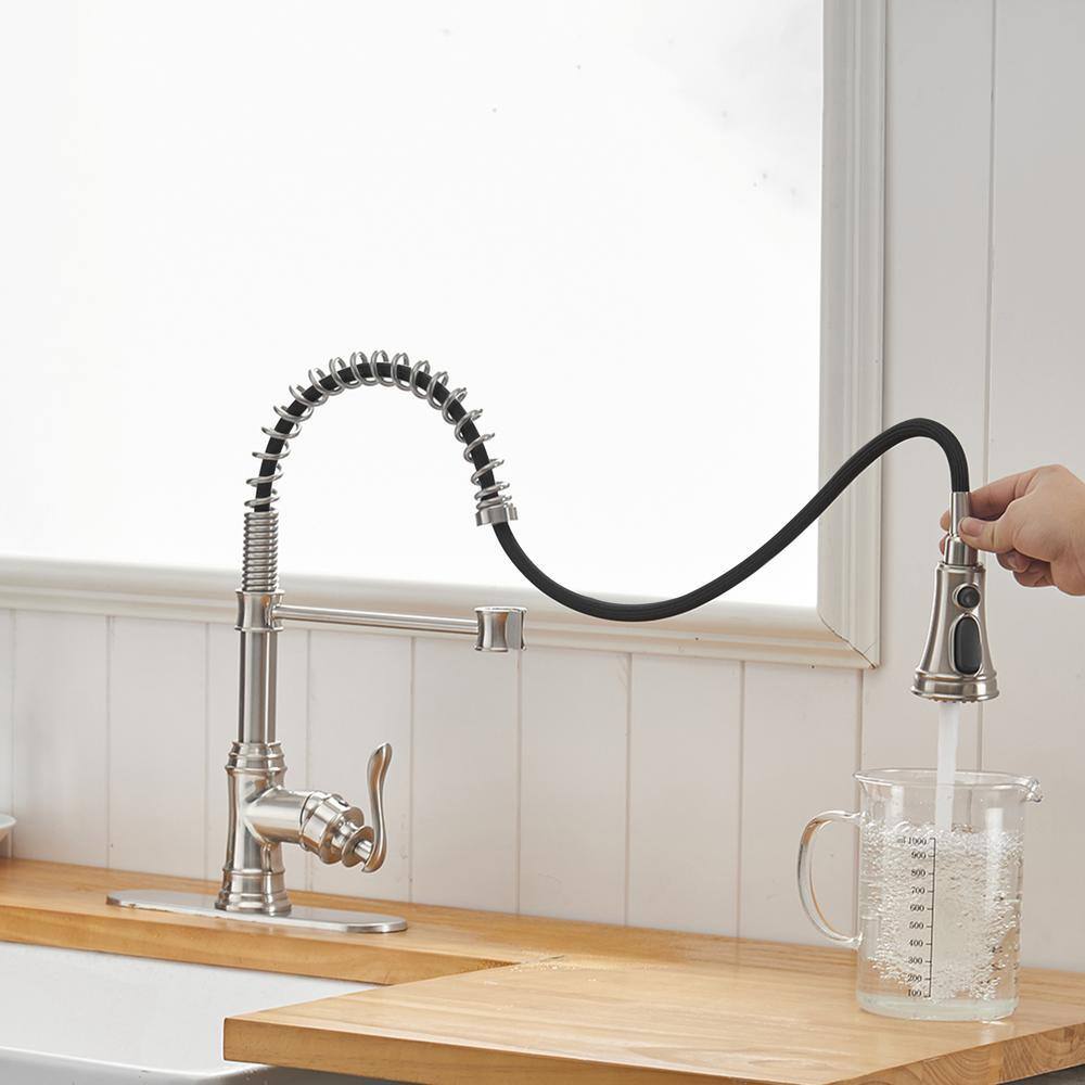 Brushed Nickel Single-Handle Pull-Down Sprayer Kitchen Faucet